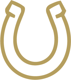 Horseshoe Pits