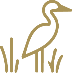 Wye Marsh Wildfire Centre